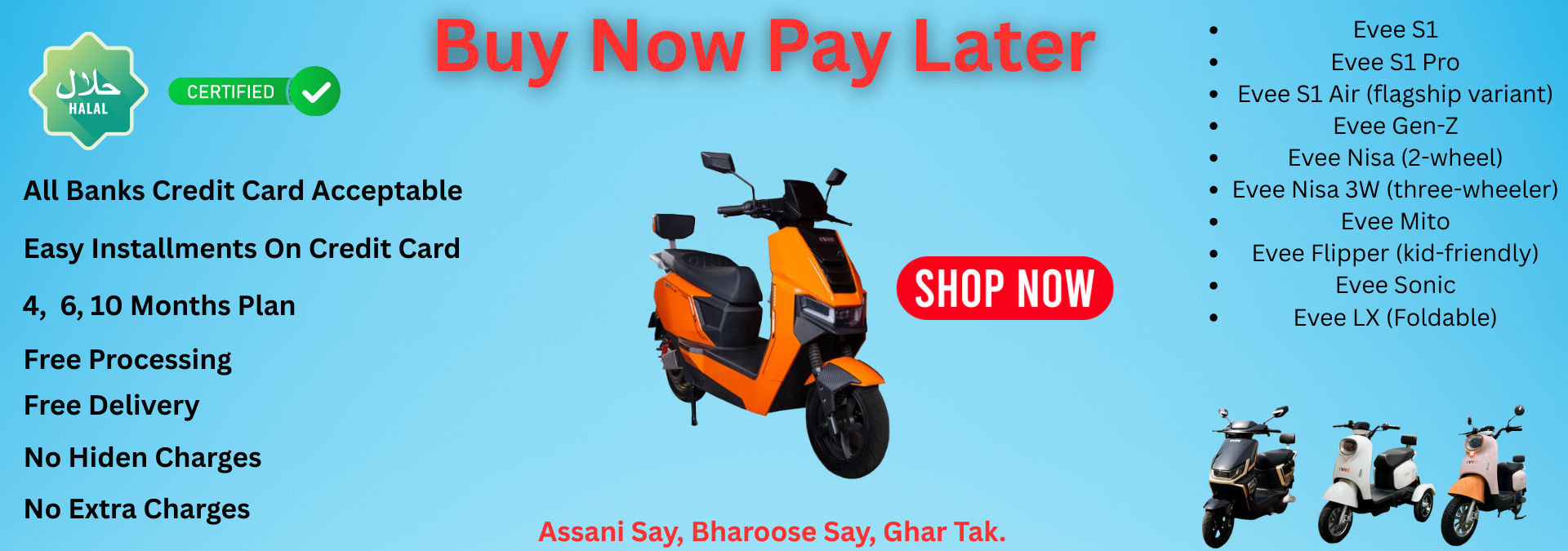 Buy Now Pay Later (3)